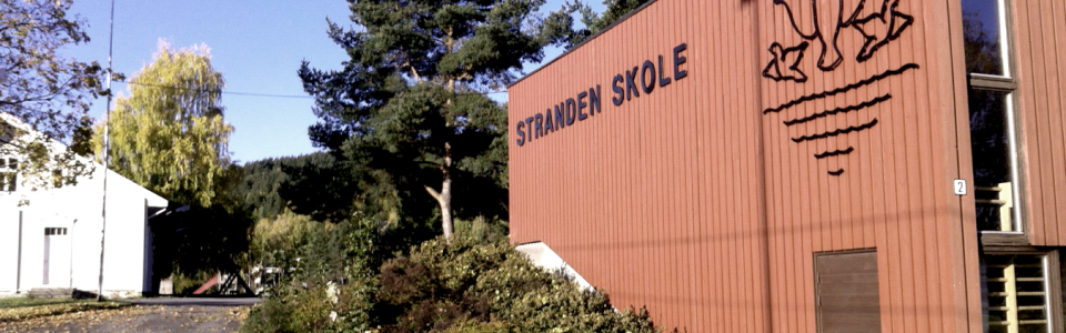 skolefront