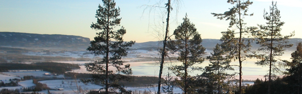 utsikaskskogen